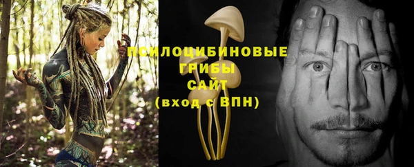 дурь Алексеевка