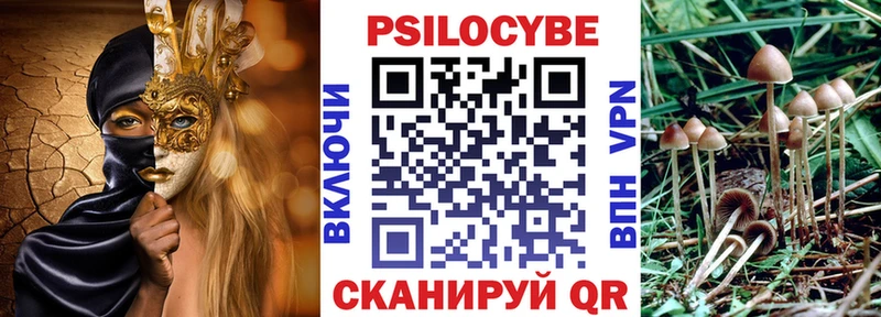 Псилоцибиновые грибы Psilocybe  Малоархангельск 